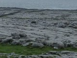 Limestone formations