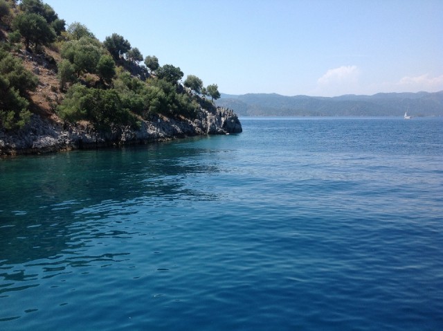 Coast