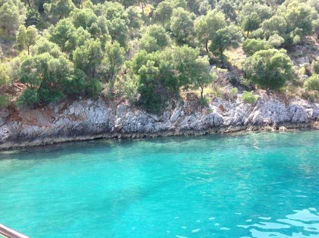 Our swimming place