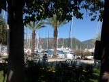 The harbour