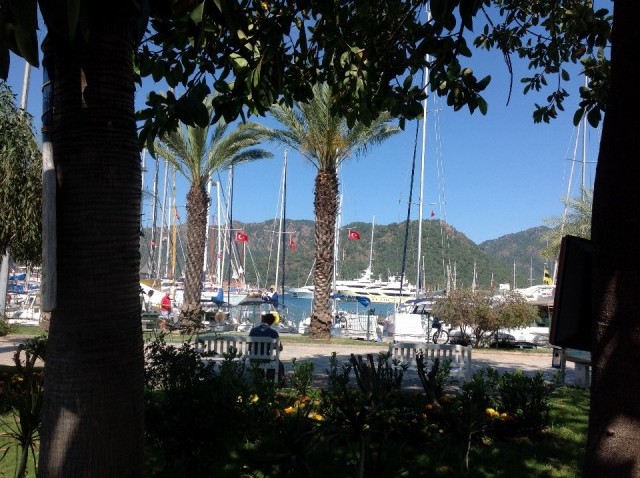The harbour