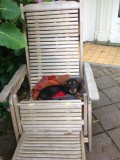 A super deck chair