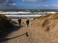IMG_3396