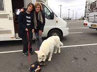Of to England with Rita , then on to Ireland