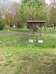 IMG_7024
