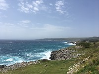 2F31E162-30F2-4660-8F6A-C57692AE6295
