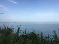 4528D5D9-AC22-469E-AD7E-84D14251D5AB
