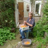 Pat preparing apricots