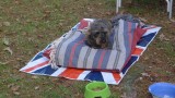 what a life