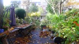 autumn in my garden