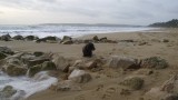 my life bournemouth