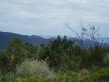 the Karoo ? what will it be like ?