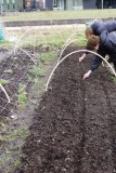 THESE WILL BECOME TUINBONEN AND DOPEWTEN !!!