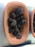 Truffels
