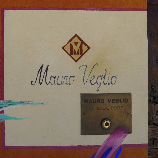 Mauro Veglio