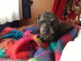 Sleeping in ....