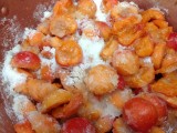Making apricot jam