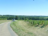 ALLE DE VIN