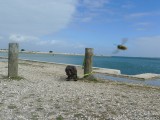 loix harbour