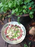 Oven roasted cauliflower and figs , one of the birthday party dishes
