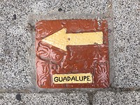 Guadelupe