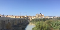 Mezquita in de verte