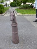 150529 paardammertje