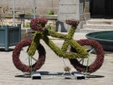 150608 fietsje