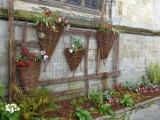 150612 planten