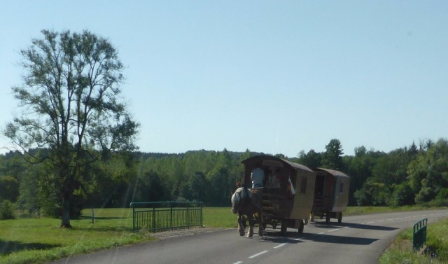 150819 ezelwagens