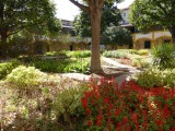 150901 tuin zielkenhuis