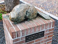 210327 laatste bever