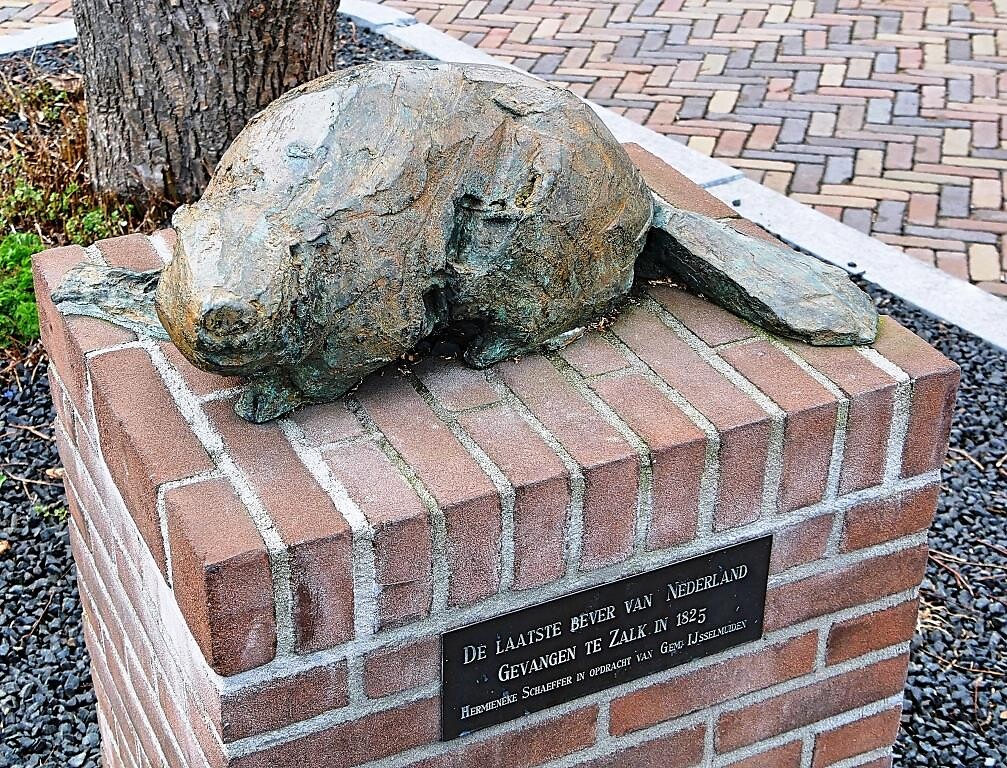 210327 laatste bever