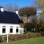 210412 mooi gesnoeid