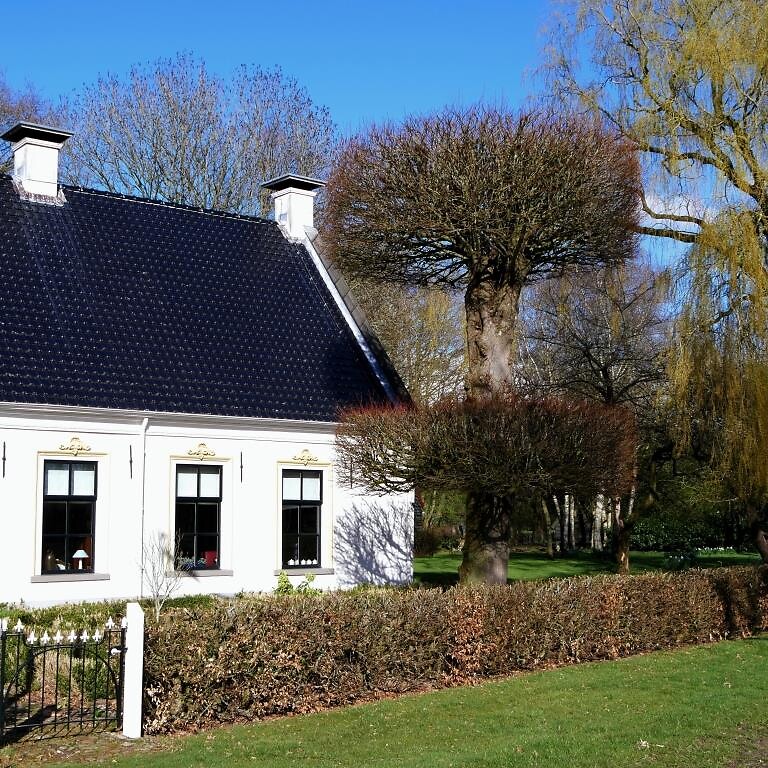 210412 mooi gesnoeid