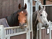 210920 Bembom Hoeve I