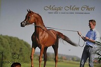 210920 Reklameposter