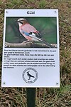 220318 vogelbordje