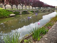 220430 arkades van château