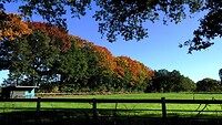 221018 herfstpracht II