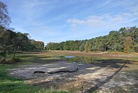 221019 Buurserzand
