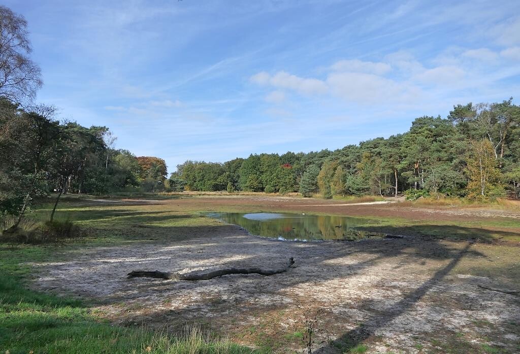 221019 Buurserzand