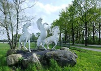 240412 3 paarden
