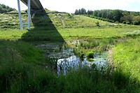 240602 kikkerpoel