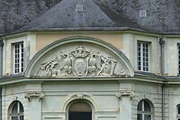 240605 saillant detail