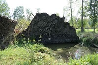 240831 La Garette omgewaaide bomen