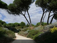 240904 Dompiere-su-Mer  talud