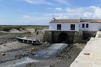 240908 Loix Moulin à Marée