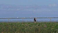 240909 brug naar Île d'Oléron