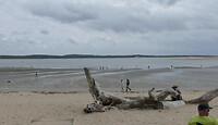 240909 Plage de Gatseau I